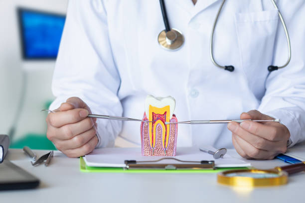 Best Emergency Dentist for Knocked-Out Tooth in Harlan, IA